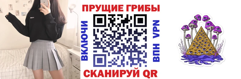 как найти закладки Ядрин Галлюциногенные грибы Psilocybe